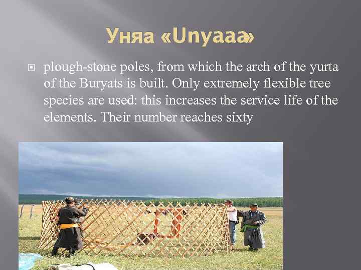 Уняа «Unyaaa » plough-stone poles, from which the arch of the yurta of the
