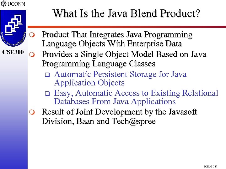 What Is the Java Blend Product? CSE 298 CSE 300 m m Product That