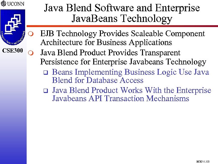Java Blend Software and Enterprise Java. Beans Technology CSE 298 CSE 300 m EJB
