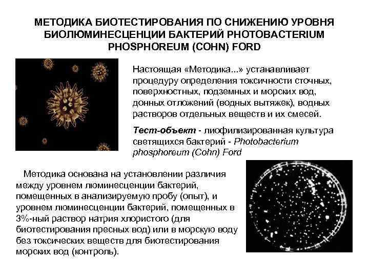 МЕТОДИКА БИОТЕСТИРОВАНИЯ ПО СНИЖЕНИЮ УРОВНЯ БИОЛЮМИНЕСЦЕНЦИИ БАКТЕРИЙ PHOTOBACTERIUM PHOSPHOREUM (COHN) FORD Настоящая «Методика. .