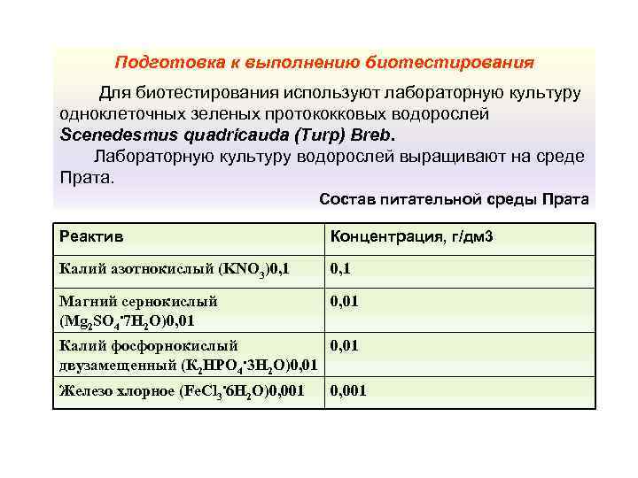 Подготовка к выполнению биотестирования Для биотестирования используют лабораторную культуру одноклеточных зеленых протококковых водорослей Scenedesmus