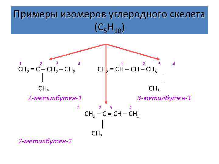 2 Метилбутен изомеры. 2 Метилбутен 1 изомер углеродной цепи. Изомерия метилбутена