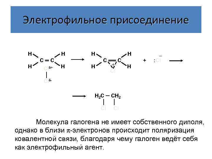 Электрофильное присоединение Н Н Н С═С Н Clδ+ │ Clδ- Н Н Н С