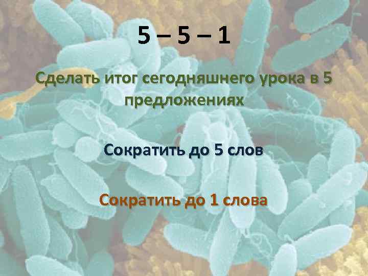 5– 5– 1 Сделать итог сегодняшнего урока в 5 предложениях Сократить до 5 слов