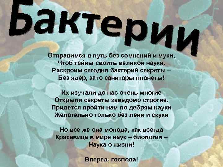 Отправимся в путь без сомнений и муки, Чтоб тайны своить великой науки. Раскроим сегодня