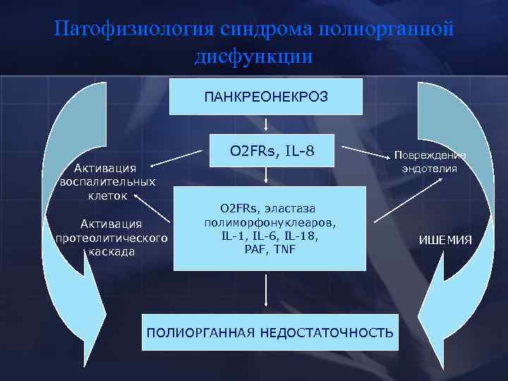 Патофизиология синдрома полиорганной дисфункции ПАНКРЕОНЕКРОЗ О 2 FRs, IL-8 Активация воспалительных клеток Активация протеолитического