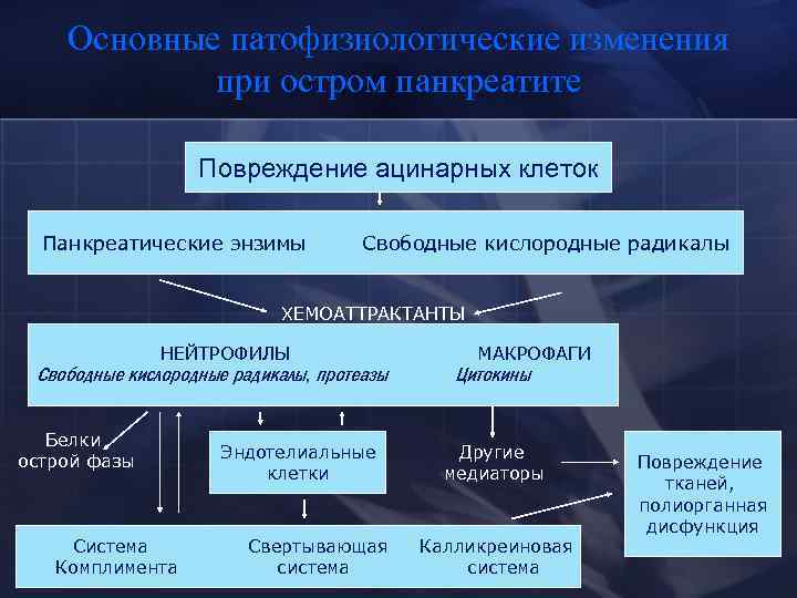 Основные патофизиологические изменения при остром панкреатите Повреждение ацинарных клеток Панкреатические энзимы Свободные кислородные радикалы