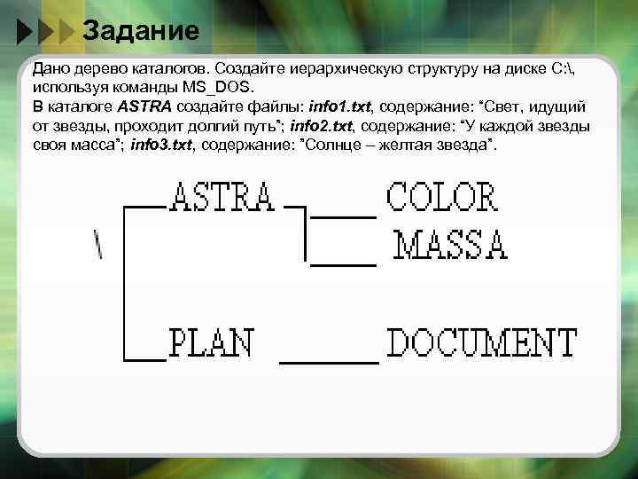 Задание Дано дерево каталогов. Создайте иерархическую структуру на диске С: , используя команды MS_DOS.