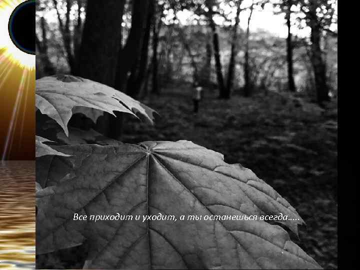 Все приходит и уходит, а ты останешься всегда…. . 