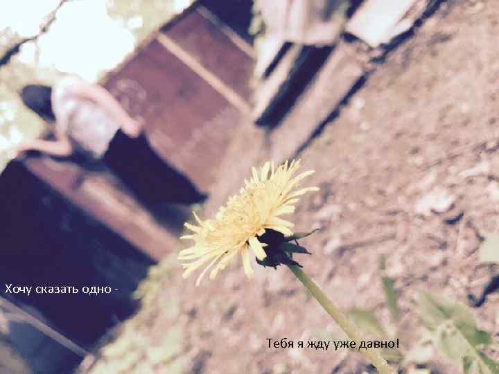 Хочу сказать одно - Тебя я жду уже давно! 