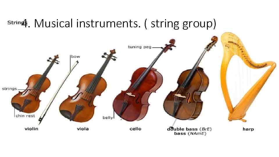 4. Musical instruments. ( string group) 