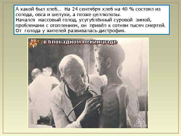 А какой был хлеб… На 24 сентября хлеб на 40 % состоял из солода,