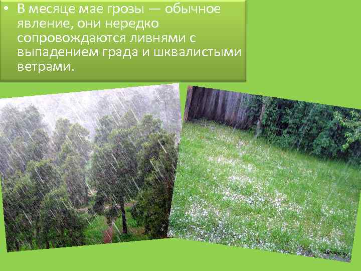  • В месяце мае грозы — обычное явление, они нередко сопровождаются ливнями с