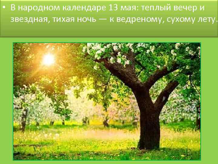  • В народном календаре 13 мая: теплый вечер и звездная, тихая ночь —