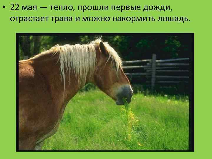  • 22 мая — тепло, прошли первые дожди, отрастает трава и можно накормить