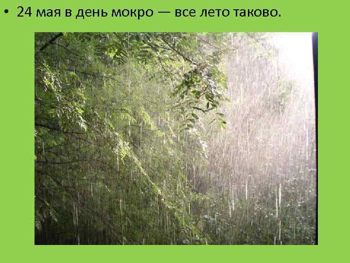  • 24 мая в день мокро — все лето таково. 