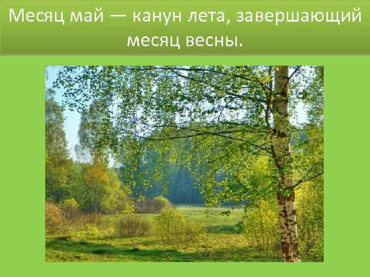 Месяц май — канун лета, завершающий месяц весны. 
