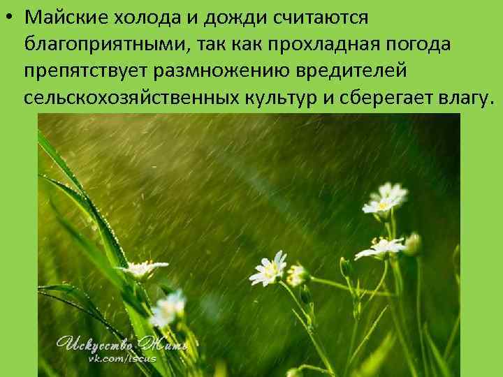  • Майские холода и дожди считаются благоприятными, так как прохладная погода препятствует размножению
