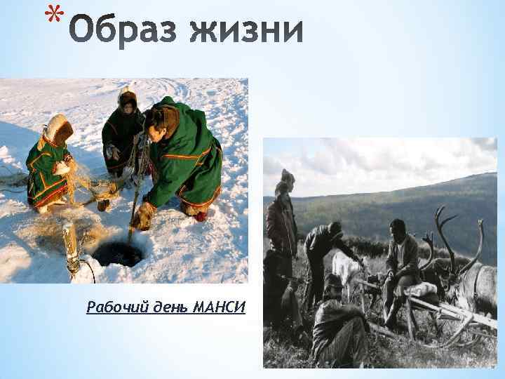 * Рабочий день МАНСИ 