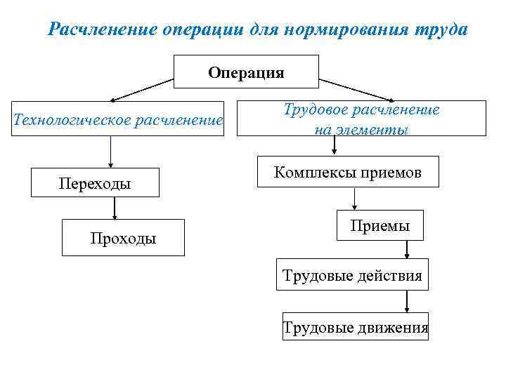  Расчленение операции для нормирования труда Операция Технологическое расчленение Переходы Проходы Трудовое расчленение на