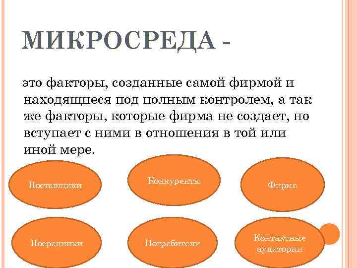 Микросреда проекта это