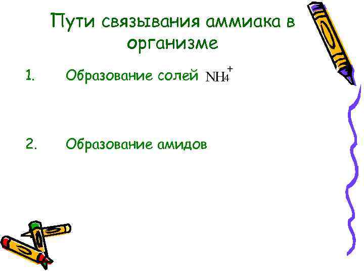 Пути связывания аммиака в организме 1. Образование солей 2. Образование амидов 