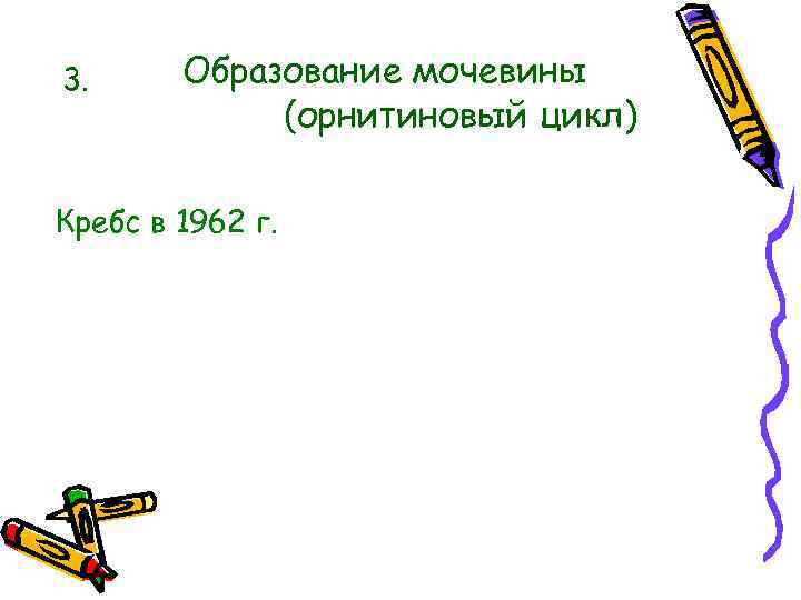 3. Образование мочевины (орнитиновый цикл) Кребс в 1962 г. 