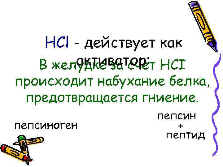 HCl - действует как активатор: В желудке за счет HСI происходит набухание белка, предотвращается