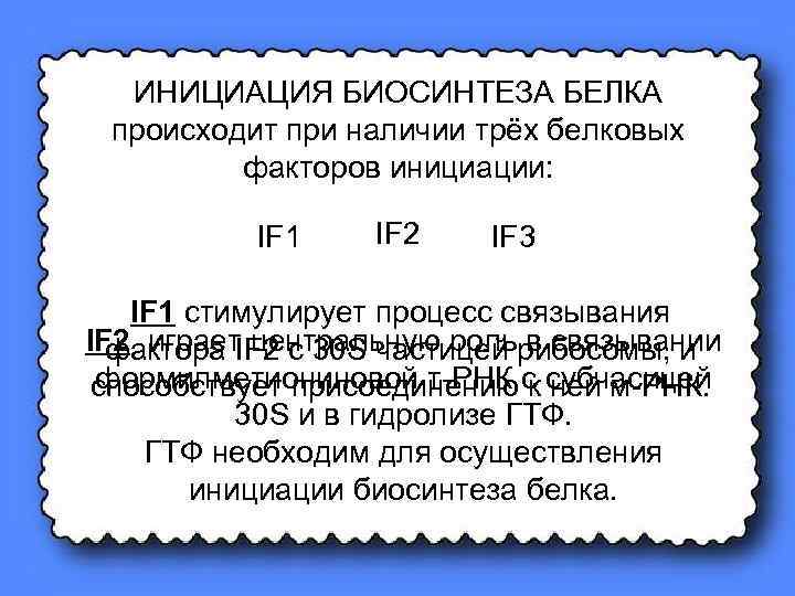 ИНИЦИАЦИЯ БИОСИНТЕЗА БЕЛКА происходит при наличии трёх белковых факторов инициации: IF 1 IF 2
