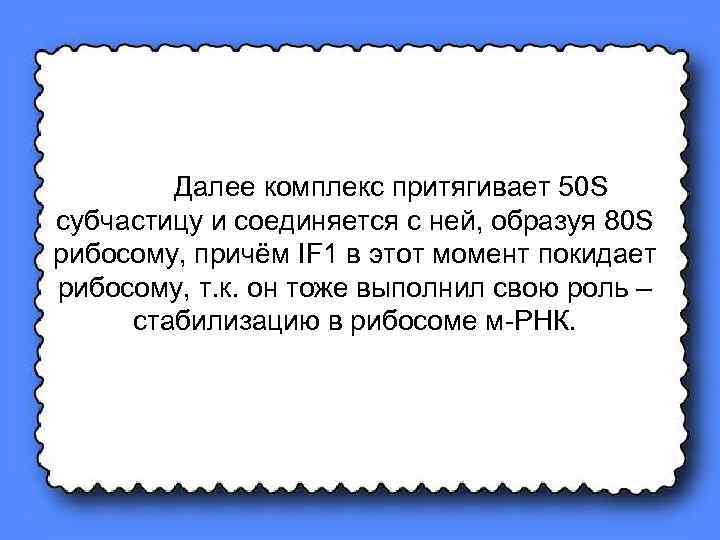 Далее комплекс притягивает 50 S субчастицу и соединяется с ней, образуя 80 S рибосому,