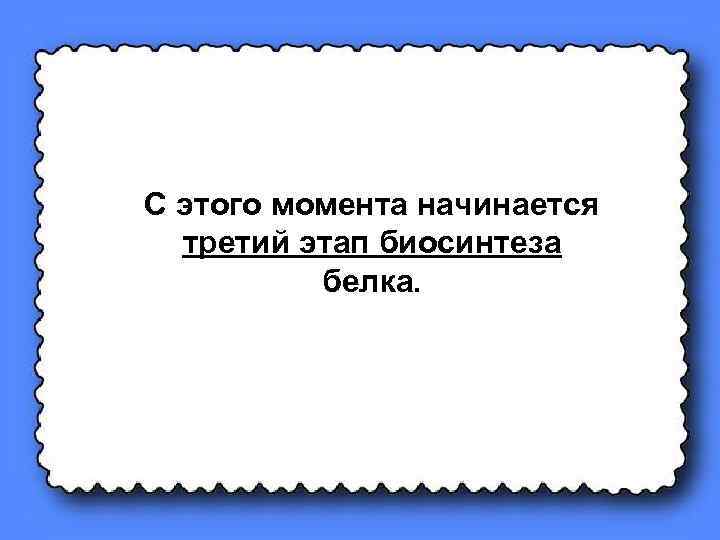 С этого момента начинается третий этап биосинтеза белка. 