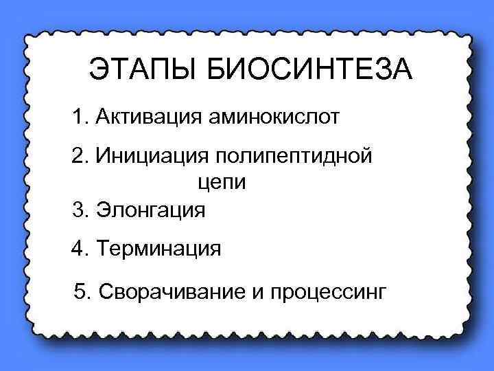 ЭТАПЫ БИОСИНТЕЗА 1. Активация аминокислот 2. Инициация полипептидной цепи 3. Элонгация 4. Терминация 5.