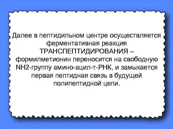 Далее в пептидильном центре осуществляется ферментативная реакция ТРАНСПЕПТИДИРОВАНИЯ – формилметионин переносится на свободную NH