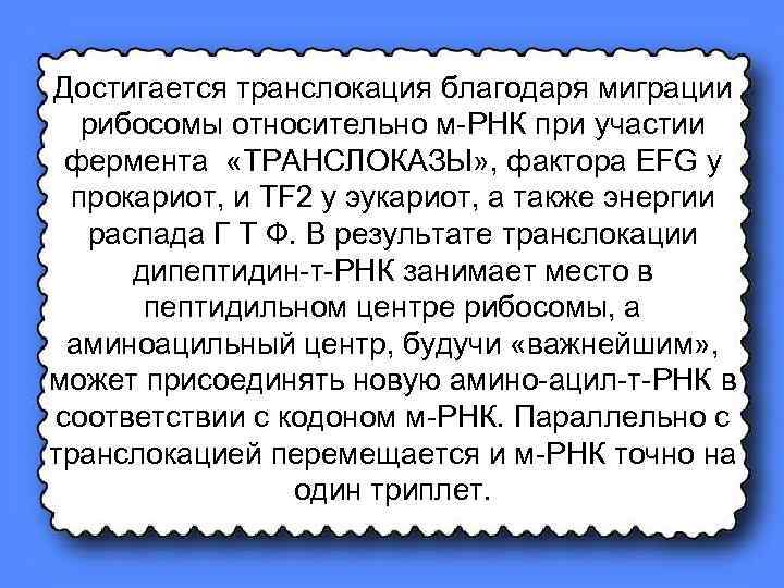 Достигается транслокация благодаря миграции рибосомы относительно м-РНК при участии фермента «ТРАНСЛОКАЗЫ» , фактора EFG