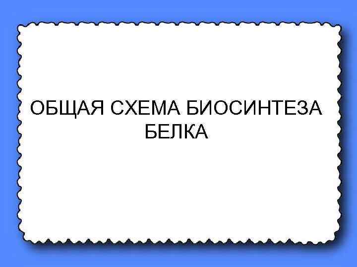 ОБЩАЯ СХЕМА БИОСИНТЕЗА БЕЛКА 