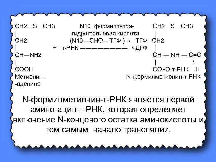 CH 2―S―CH 3 N 10–формилтетра. CH 2―S―CH 3 | -гидрофолиевая кислота | CH 2