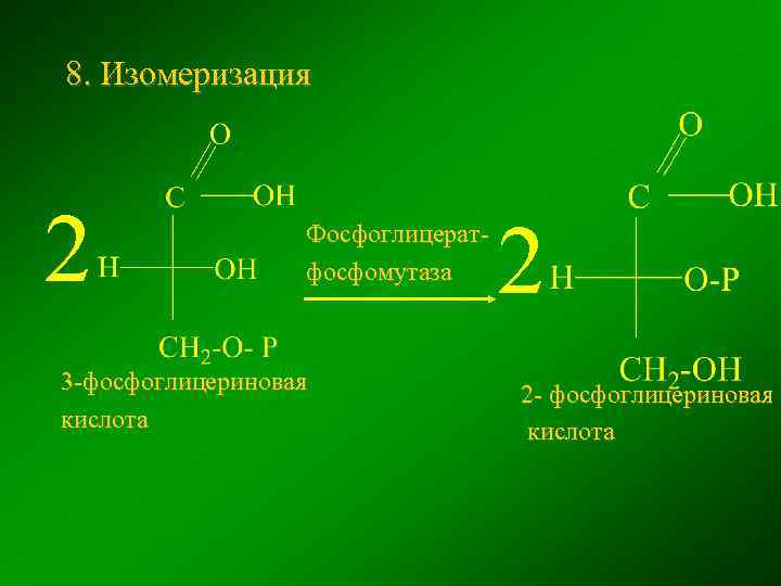 8. Изомеризация 2 Фосфоглицератфосфомутаза 3 -фосфоглицериновая кислота 2 2 - фосфоглицериновая кислота 