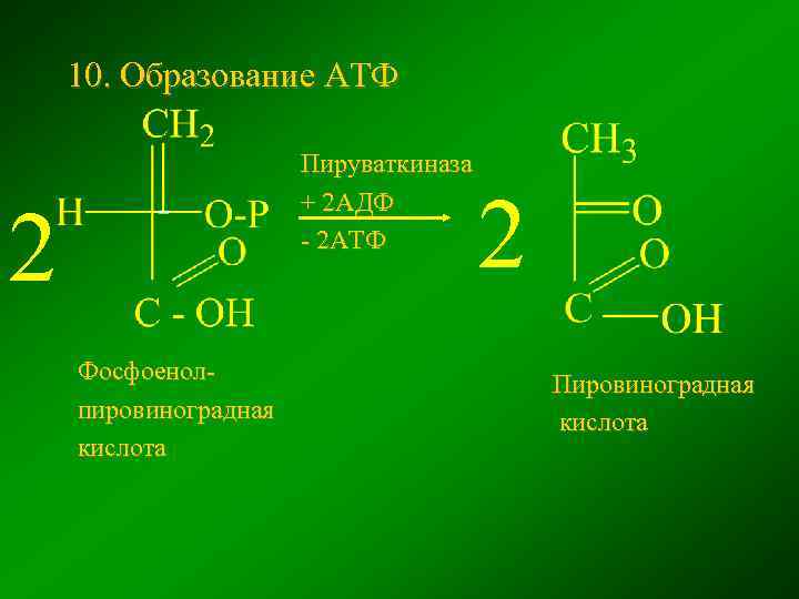 Пировиноградная кислота формула. Фосфоенолпировиноградная кислота АДФ. Фосфоенолпировиноградная кислота в пировиноградную кислоту. Фосфоенолпируват формула.
