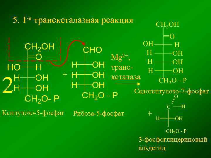 5. 1 -я транскеталазная реакция 2 + Ксилулозо-5 -фосфат Mg 2+, транскеталаза Седогептулозо-7 -фосфат