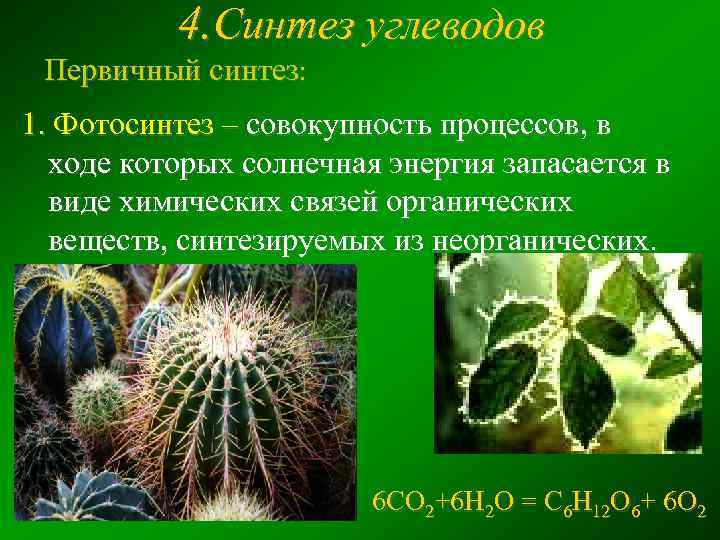 4. Синтез углеводов Первичный синтез: 1. Фотосинтез – совокупность процессов, в ходе которых солнечная