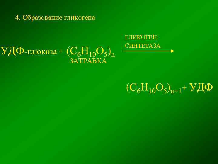 4. Образование гликогена УДФ-глюкоза + (С 6 Н 10 О 5)n ГЛИКОГЕНСИНТЕТАЗА ЗАТРАВКА (C