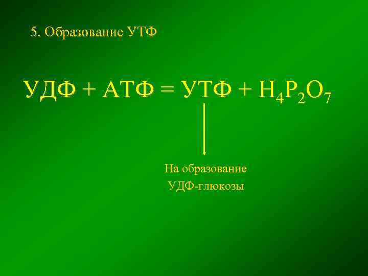 5. Образование УТФ УДФ + АТФ = УТФ + Н 4 Р 2 О