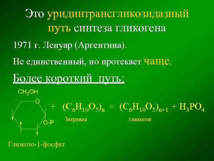Это уридинтрансгликозидазный путь синтеза гликогена 1971 г. Ленуар (Аргентина). Не единственный, но протекает чаще.