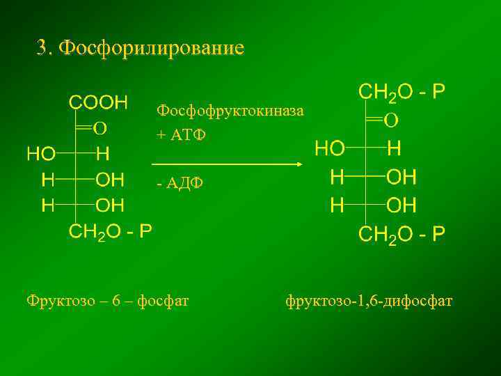 Атф фосфор. Фруктозо 6 фосфат АТФ фруктозо 1 6 дифосфат АДФ. Фосфорилирование фруктозо-6-фосфата. Фруктоза 6 фосфат формула. Фруктозо 6 фосфат формула структурная.