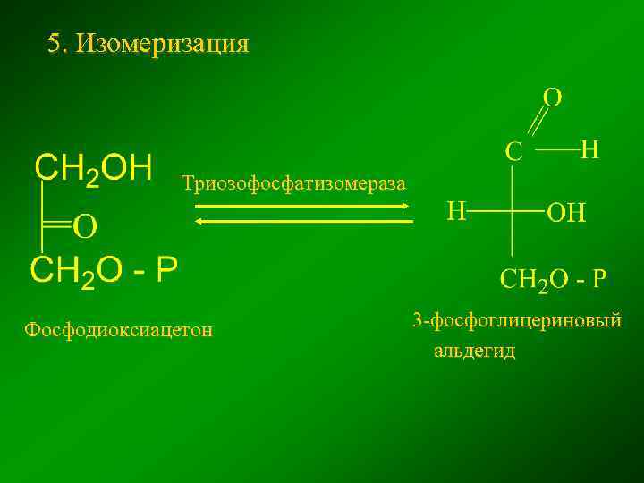 5. Изомеризация Триозофосфатизомераза Фосфодиоксиацетон 3 -фосфоглицериновый альдегид 