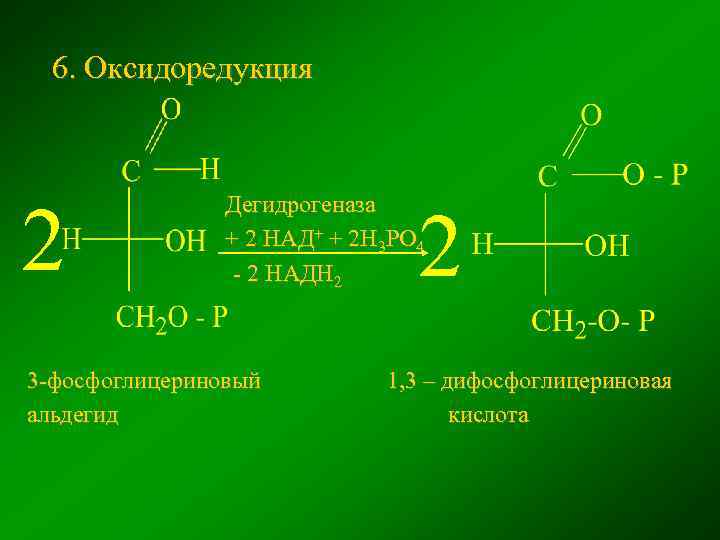 6. Оксидоредукция 2 Дегидрогеназа + 2 НАД+ + 2 Н 3 РО 4 -