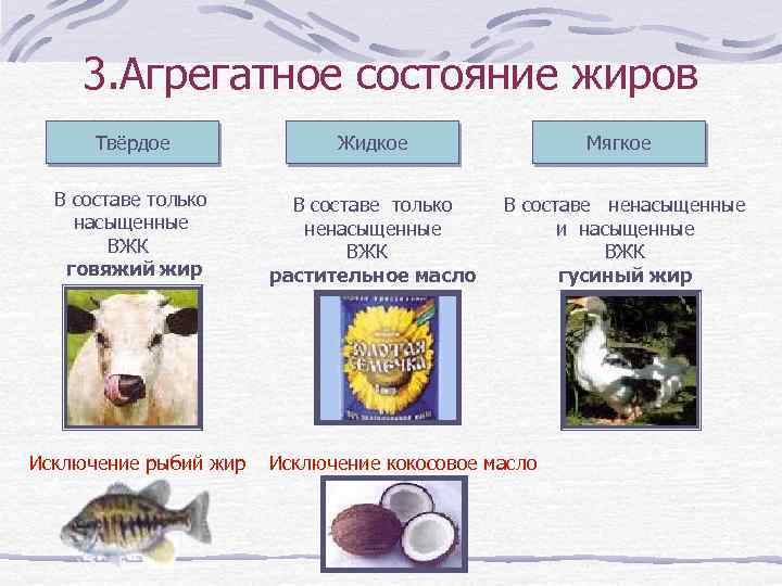 3. Агрегатное состояние жиров Твёрдое Жидкое В составе только насыщенные ВЖК говяжий жир В