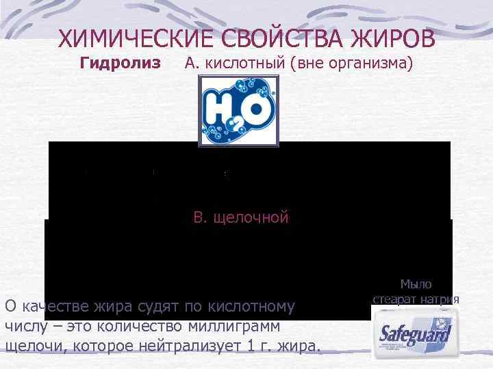 ХИМИЧЕСКИЕ СВОЙСТВА ЖИРОВ Гидролиз А. кислотный (вне организма) В. щелочной О качестве жира судят