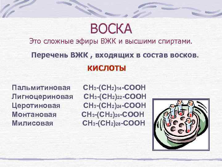 ВОСКА Это сложные эфиры ВЖК и высшими спиртами. Перечень ВЖК , входящих в состав