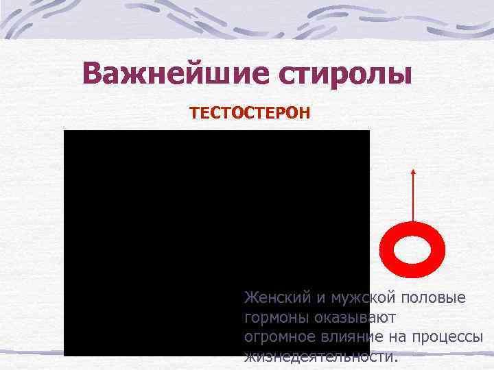 Важнейшие стиролы ТЕСТОСТЕРОН Женский и мужской половые гормоны оказывают огромное влияние на процессы жизнедеятельности.